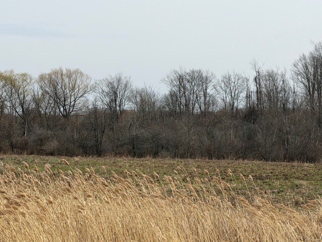 More Photos Of Approx. 4593 S Madison Rd, Madison Land For Sale
