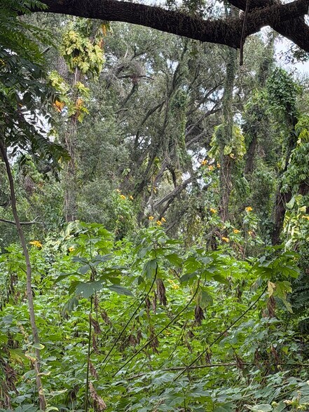 More Photos Of 2404 Parsons Ave, Seffner Land For Sale