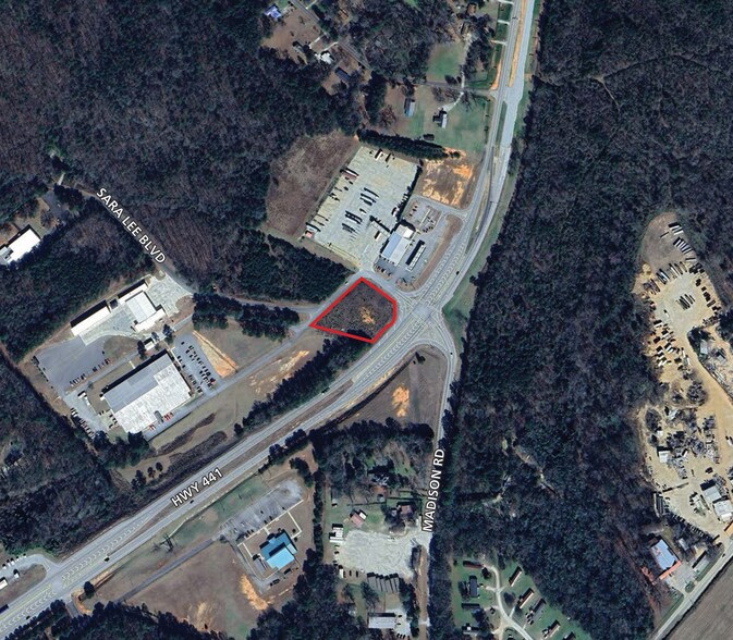 Primary Photo Of Hwy 441 & Sara Lee Blvd, Eatonton Land For Sale
