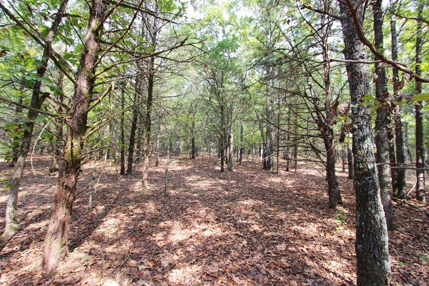 More Photos Of 226 Blythe rd, Greenbrier Land For Sale