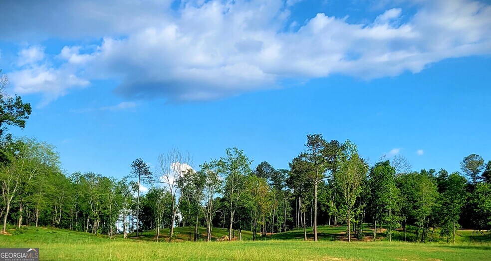 More Photos Of 80 Mundy Rd, Rydal Land For Sale