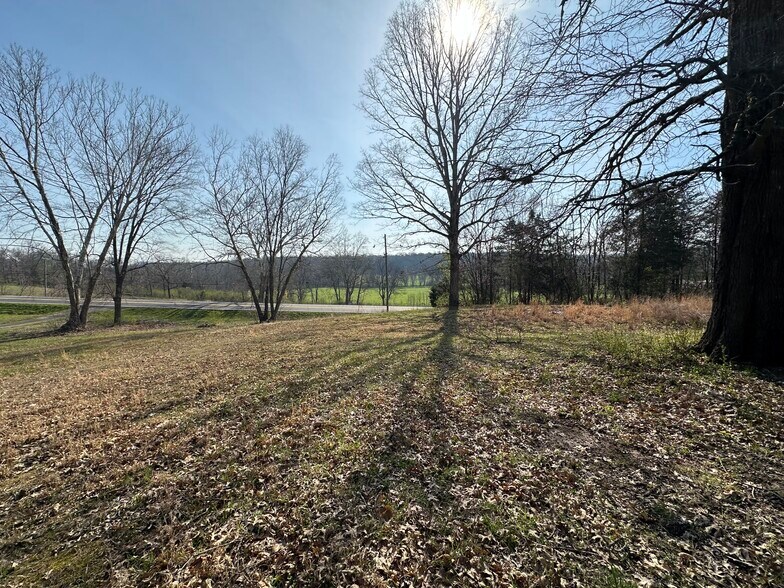 More Photos Of 7312 Highway 60, Georgetown Land For Sale