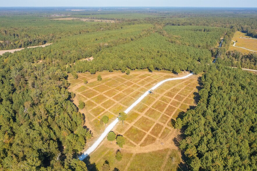 More Photos Of 18618 Hwy 43, Linden Land For Sale