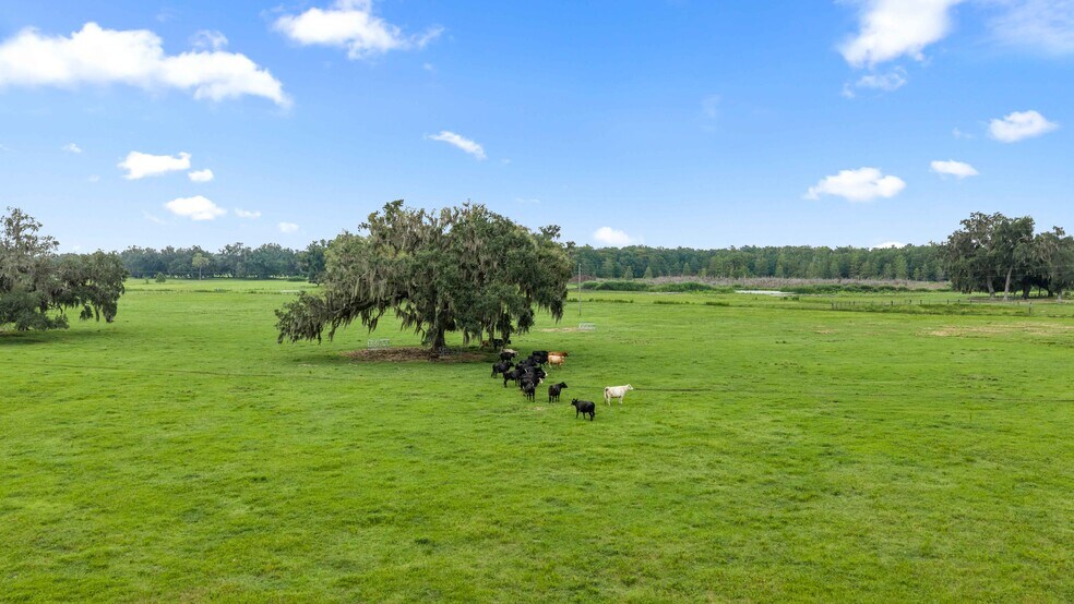 More Photos Of CR 774, Webster Land For Sale