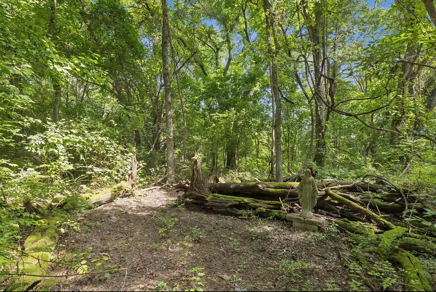 More Photos Of 5314 County Road 465, McKinney Land For Sale