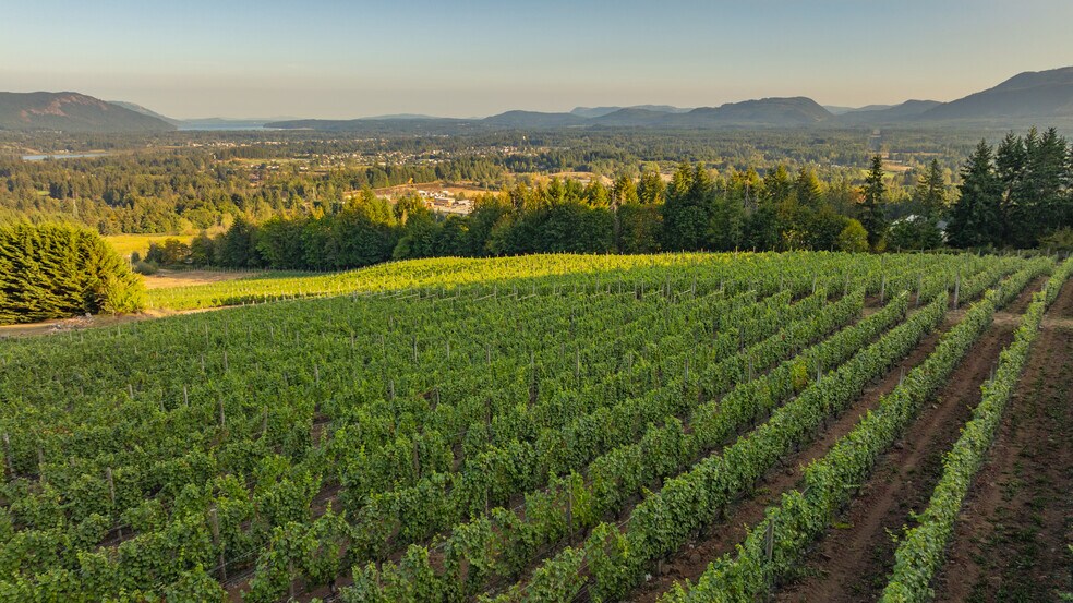 More Photos Of , Duncan Winery Vineyard For Sale