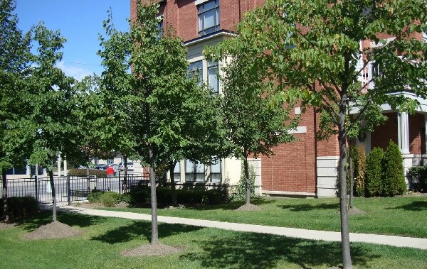 More Photos Of 165 Lakeshore Rd E, Mississauga Apartments For Lease
