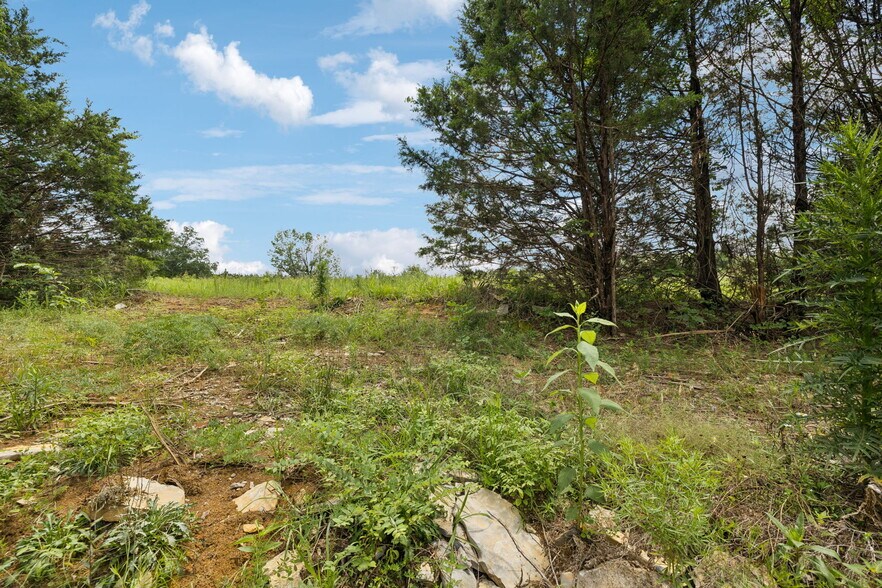 More Photos Of 7665 Shelbyville Pike, Christiana Land For Sale