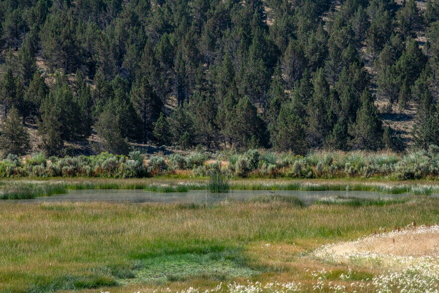 More Photos Of 32611 Tackman Rd, Prineville Land For Sale