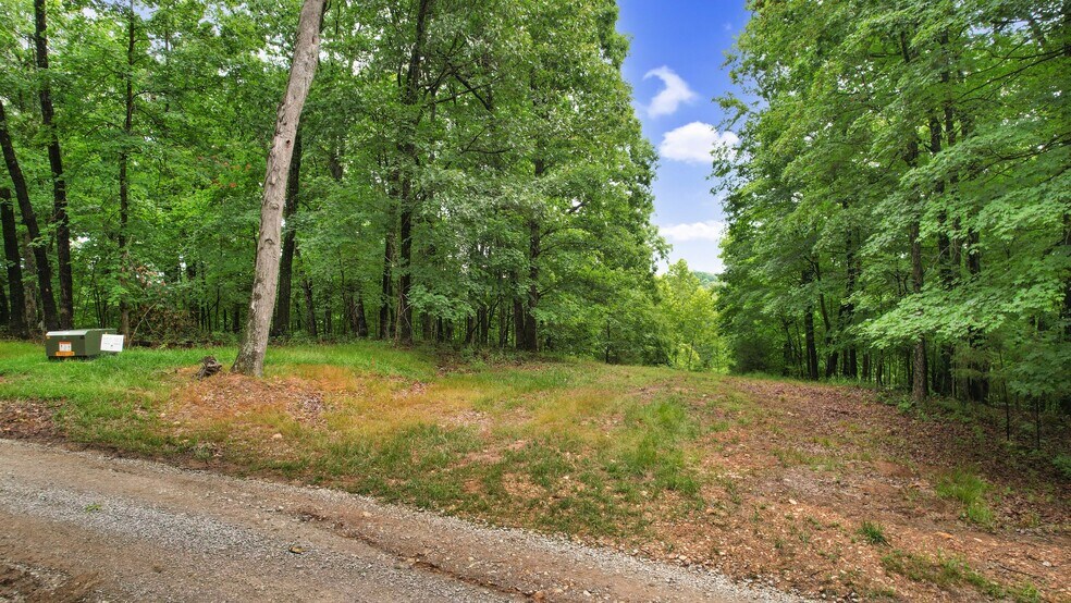 More Photos Of Steeplerock Rd, Defiance Land For Sale