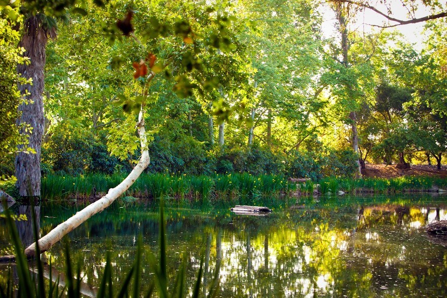 More Photos Of 6036 Rainbow Heights Rd, Fallbrook Land For Sale