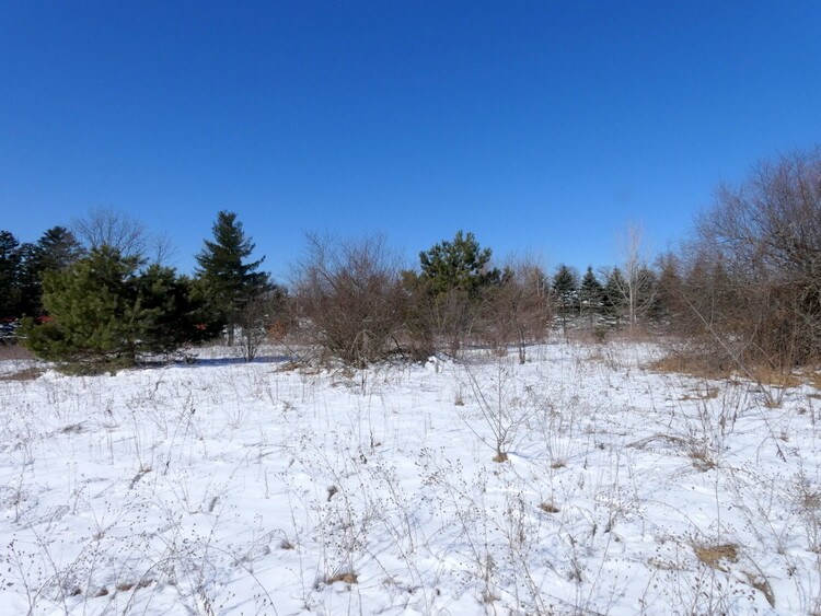 More Photos Of 360 South St, Ortonville Land For Sale