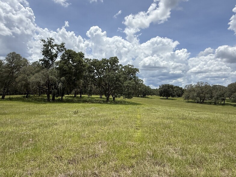 More Photos Of NW 27th St, Dunnellon Land For Sale