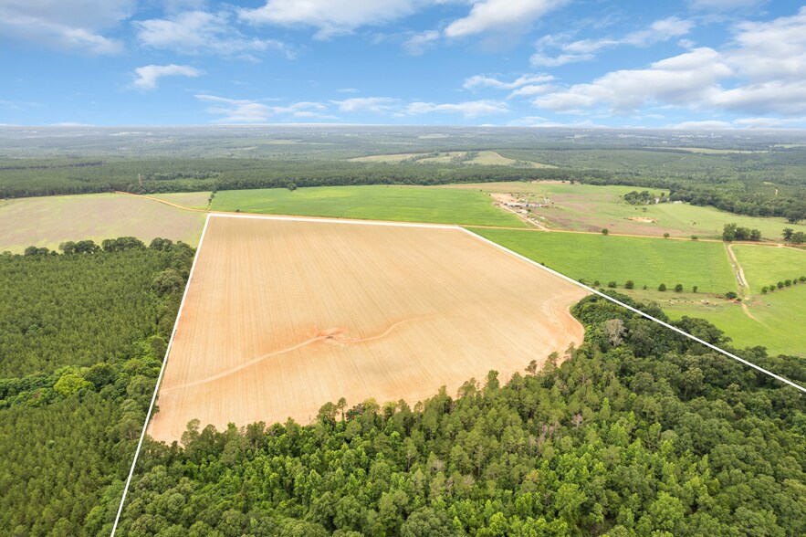 More Photos Of 0 Old Stage rd, Repton Land For Sale