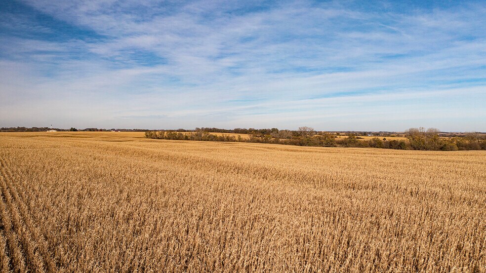 More Photos Of Hwy 63, Eagle Land For Sale