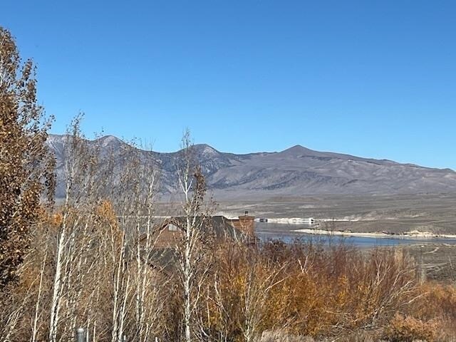 More Photos Of 3927 Crowley Lake Dr, Mammoth Lakes Land For Sale