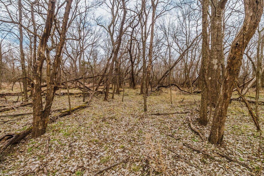 More Photos Of 79+/- Acres on 272nd Rd. Rd @ 41st Rd, Arkansas City Land For Sale