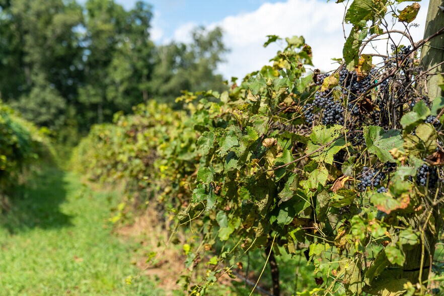 More Photos Of 9975 Ball Ground Hwy, Ball Ground General Retail For Sale