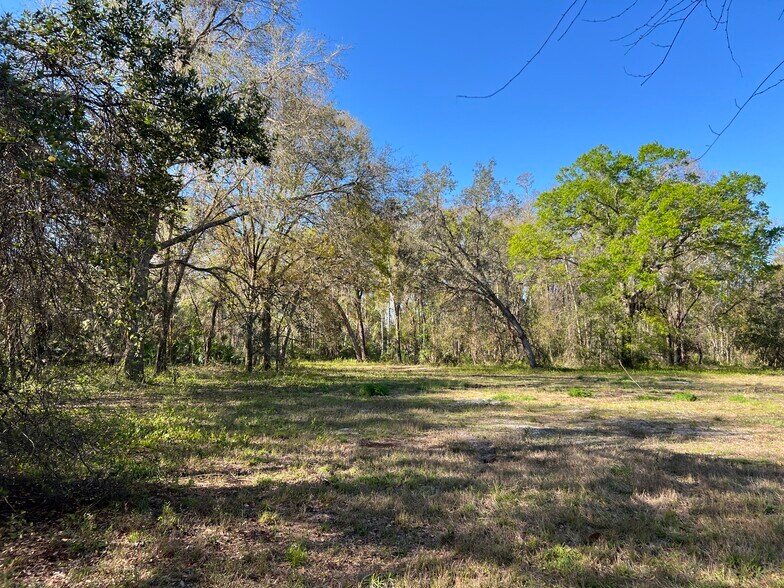 More Photos Of 0000 Tarpon Springs Rd, Odessa Land For Sale