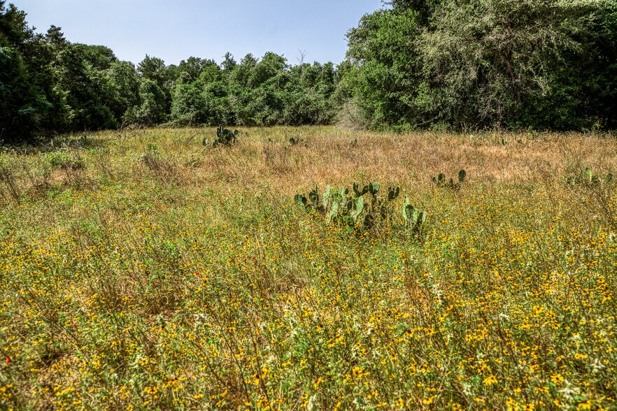 More Photos Of TBD (+/-88 Acres) Smith Rd, Bastrop Land For Sale