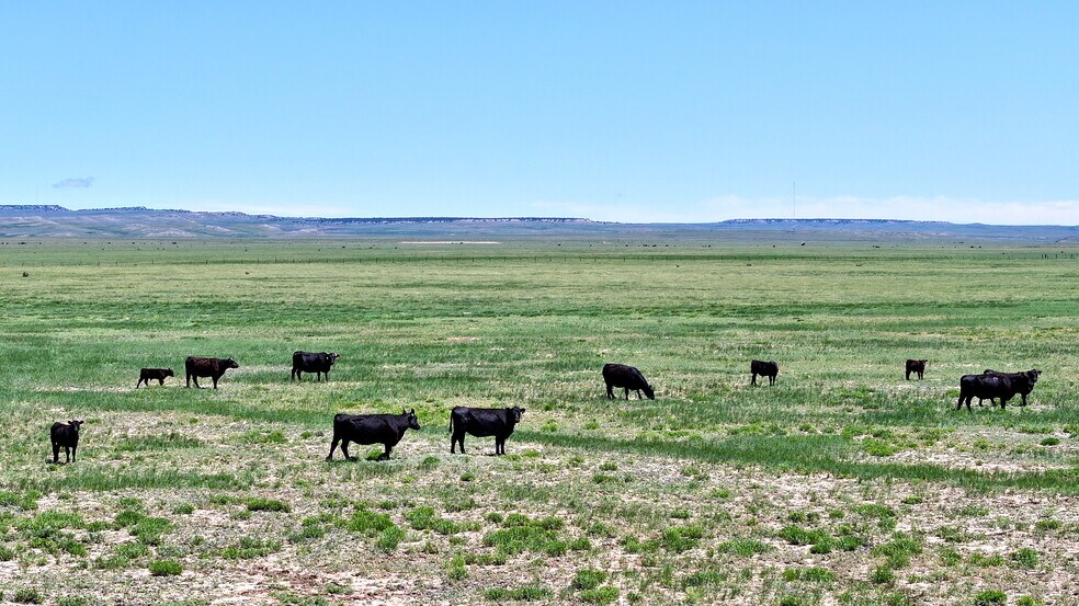 More Photos Of 48999 County Road 48, Model Land For Sale