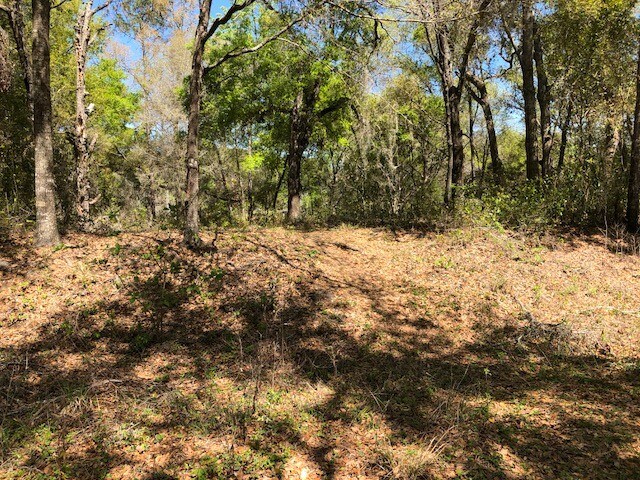 More Photos Of 2001 N Highway 41 Hwy, Inverness Land For Sale