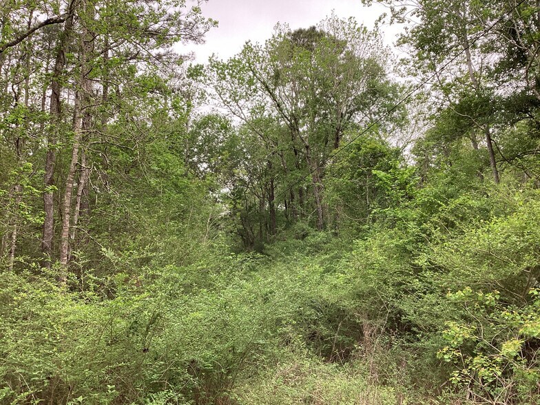 More Photos Of 0 County Road 4876, Dayton Land For Sale