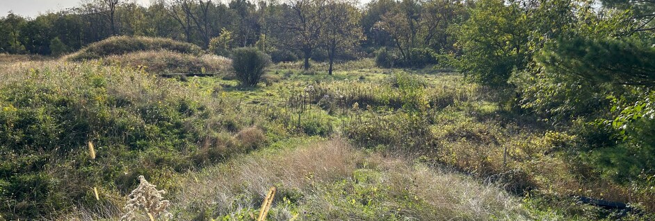 More Photos Of 5345 Lacy Rd, Fitchburg Land For Sale