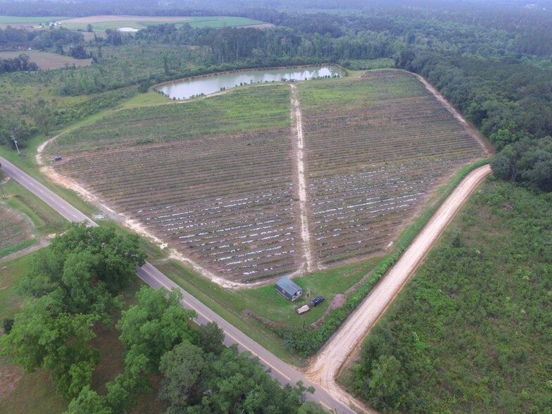 Primary Photo Of Harmony Road, Meigs Land For Sale