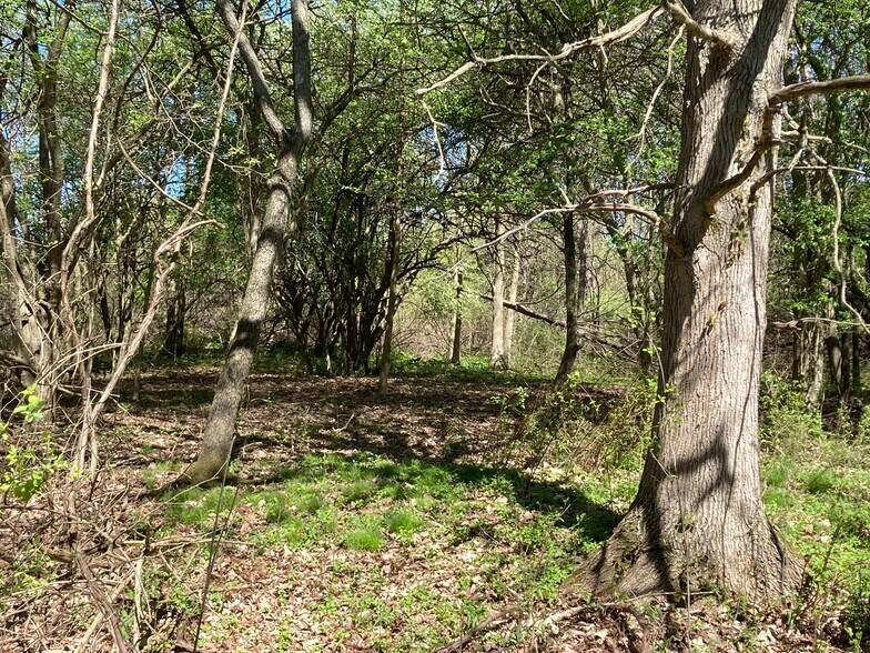 More Photos Of Faircrest, Canton Land For Sale