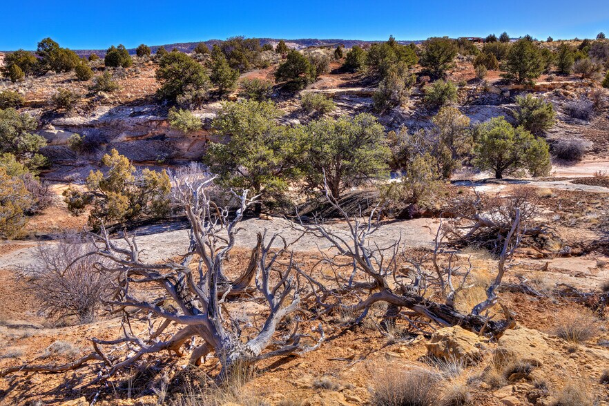 More Photos Of 1 Joe Wilson Dr 1 Phase 2 Joe Wilson Moab UT dr, Moab Land For Sale