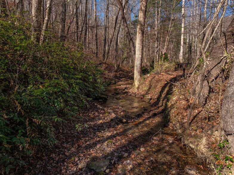 Primary Photo Of 00 Pittman Rd, Landrum Land For Sale