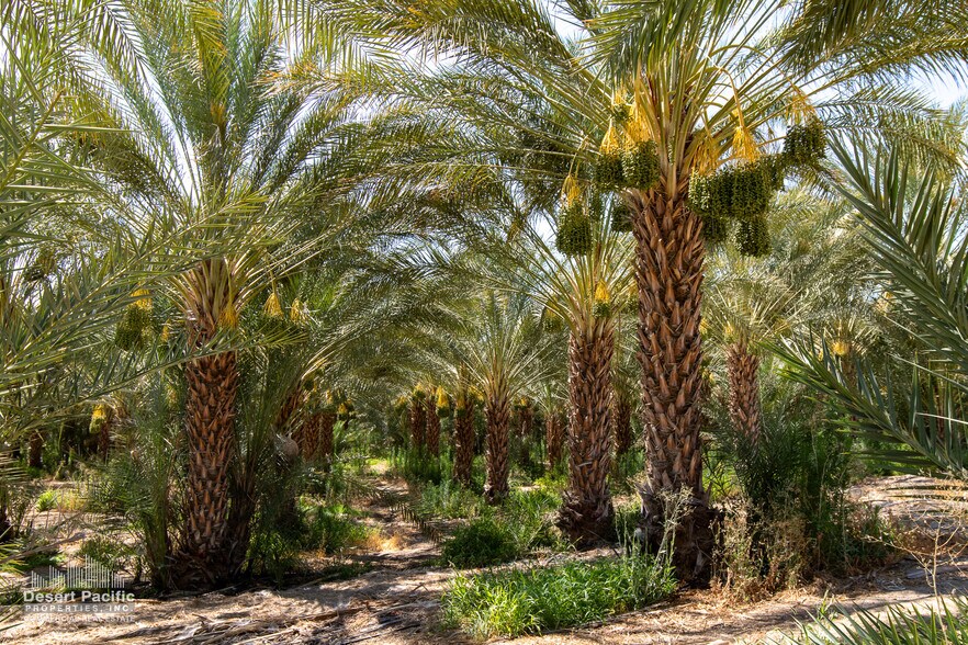 More Photos Of 75317 Polk St st, Thermal Land For Sale