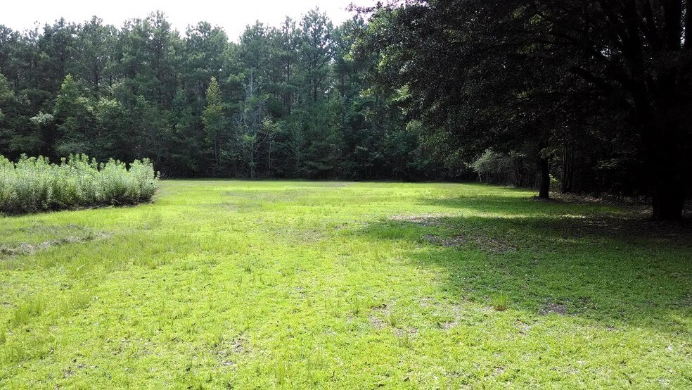 More Photos Of 4420 Highway 145, Waynesboro Land For Sale