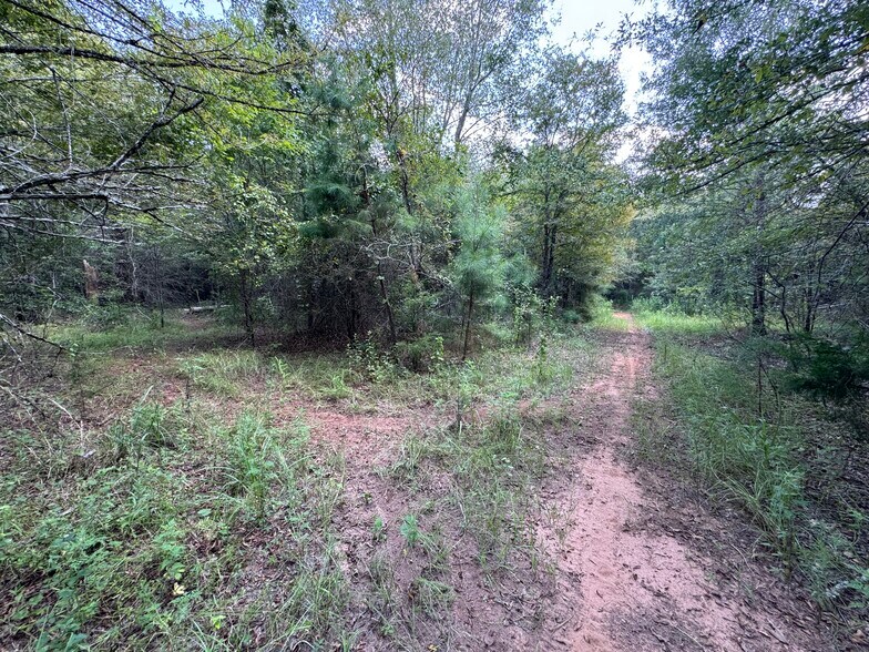 More Photos Of 000 Meadow View Ln, Flint Land For Sale