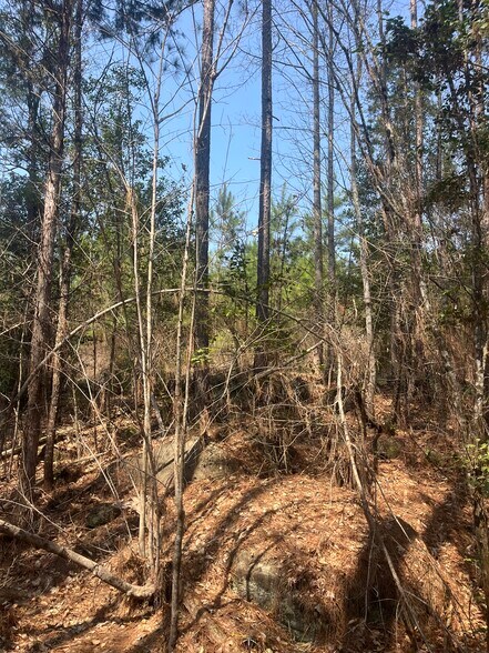 More Photos Of Healing Acres Ln, Carthage Land For Sale