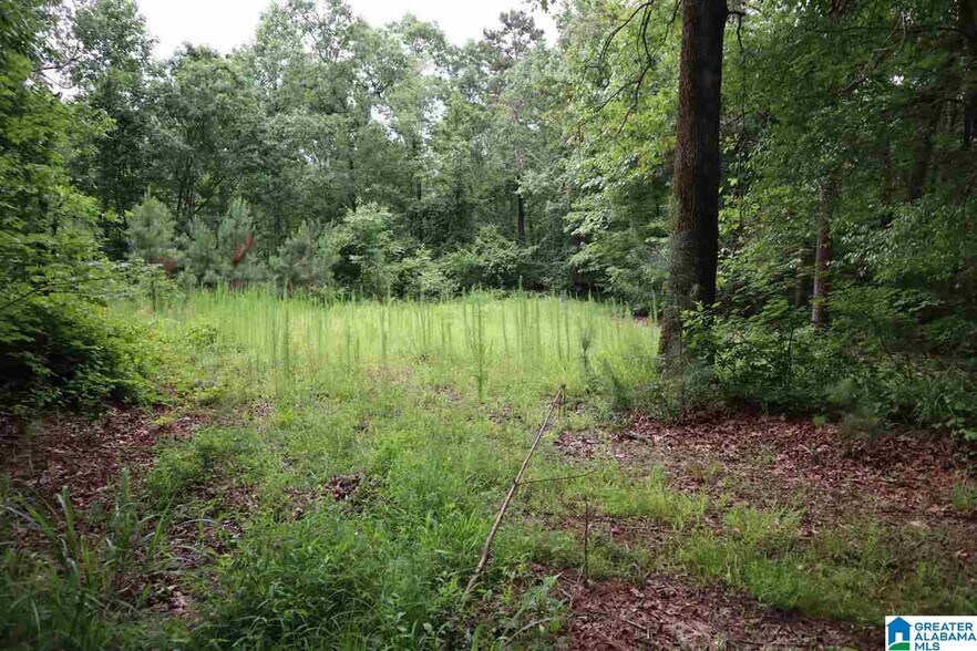 More Photos Of 0 County Rd 61, Fruithurst Land For Sale