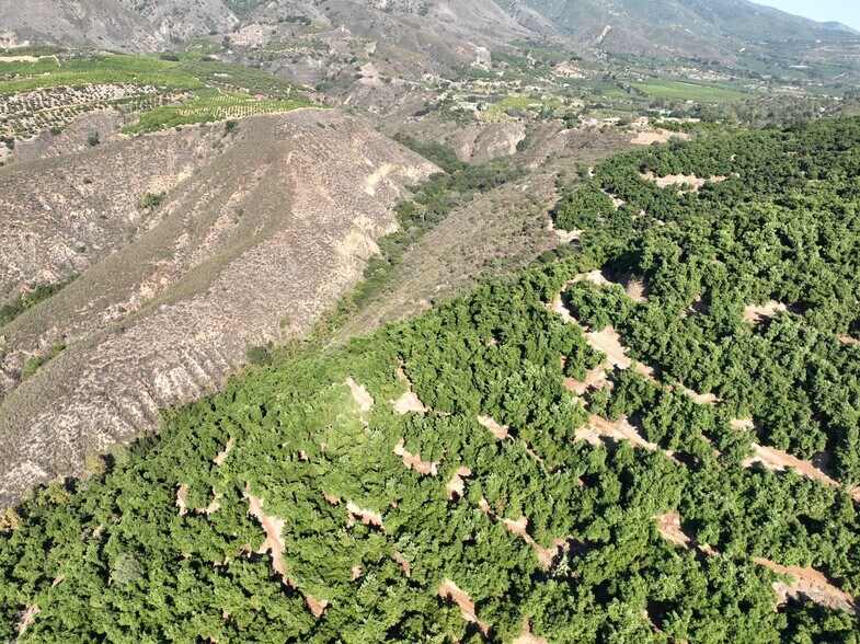 More Photos Of 32375 Sams Mountain Road, Pauma Valley Land For Sale