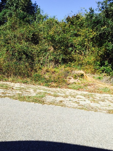 Primary Photo Of Wesmark Blvd, Sumter Land For Sale