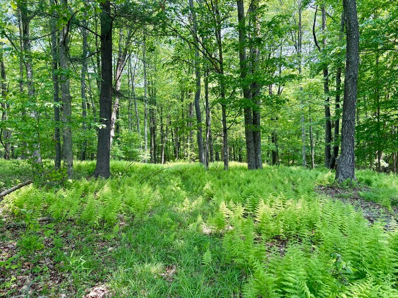 More Photos Of 263 Como Rd, Lake Como Specialty For Sale