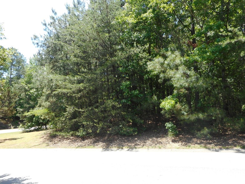 More Photos Of 2280 Holly Lynn Ct, Canton Land For Sale