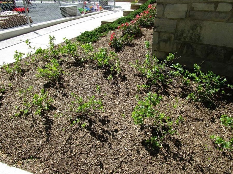 More Photos Of 1111 E Warrenville Rd, Naperville Office For Sale