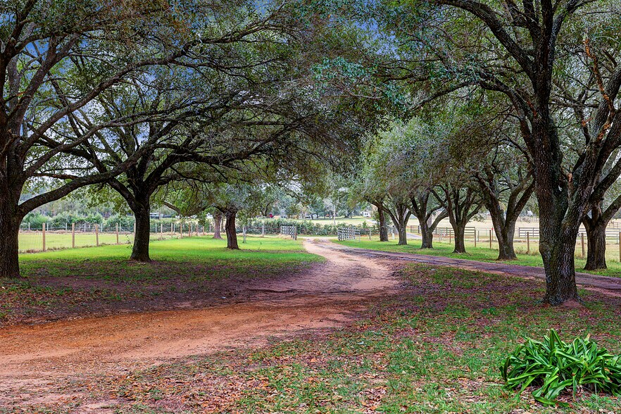 Primary Photo Of TBD Magnolia Road Rd, Hockley Land For Sale