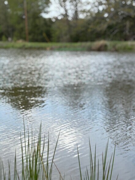 More Photos Of 12813 County 2133 rd, Whitehouse Land For Sale