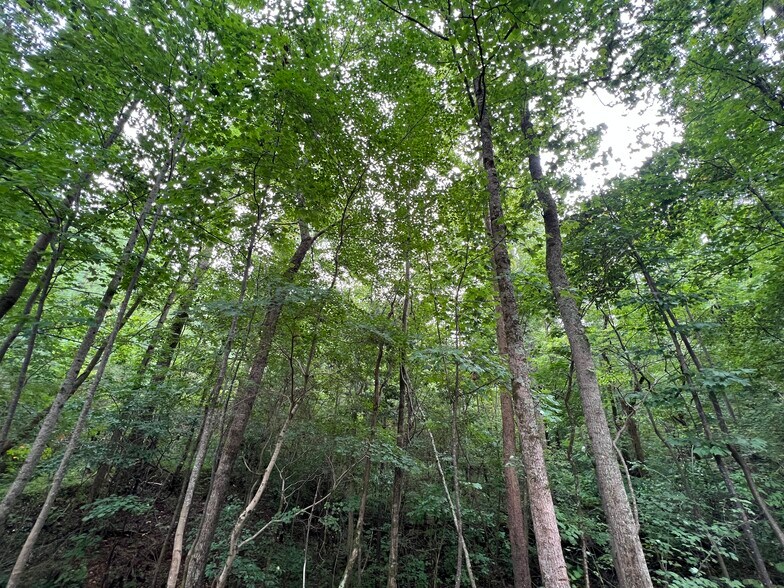 More Photos Of Pinyan, Ranger Land For Sale