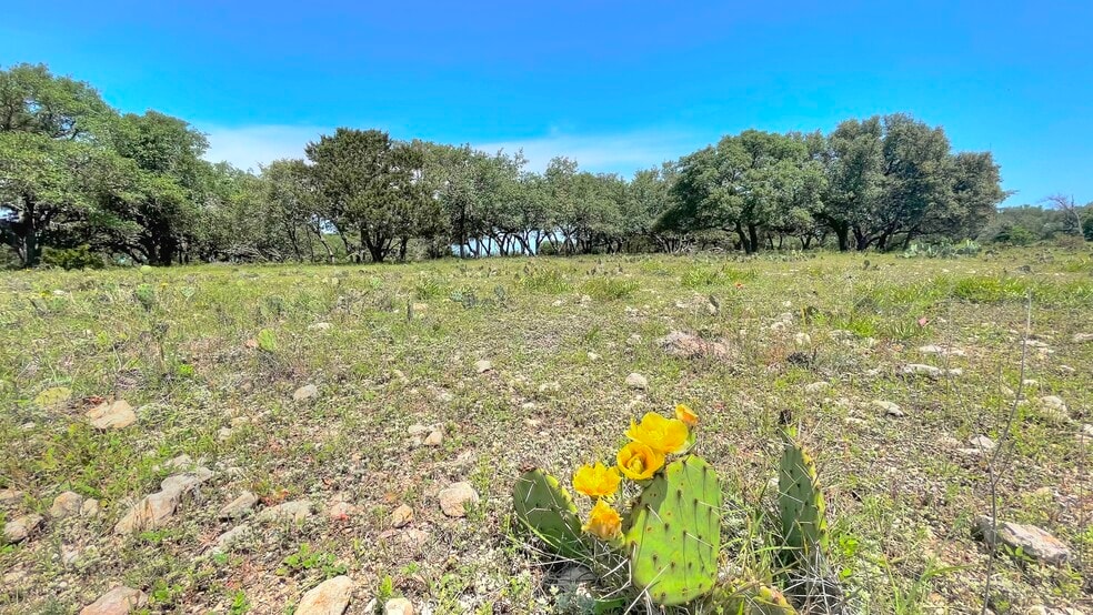 More Photos Of County Road 253, Bertram Land For Sale