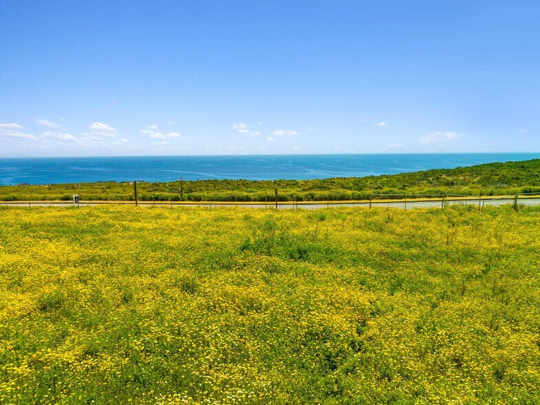 29317 Cliffside Dr dr, Malibu, CA 90265 Land For Sale