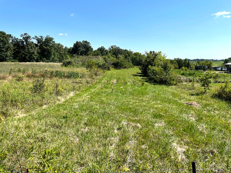 More Photos Of Flatwoods Road, Mosheim Land For Sale