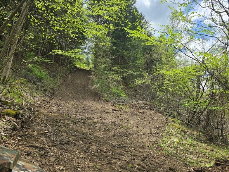 More Photos Of 0 Lower Mudlic rd, Mayport Land For Sale