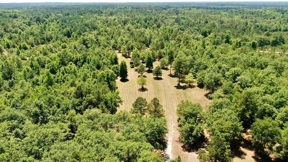 More Photos Of 241 Foskey Cemetery Rd, Adrian Land For Sale